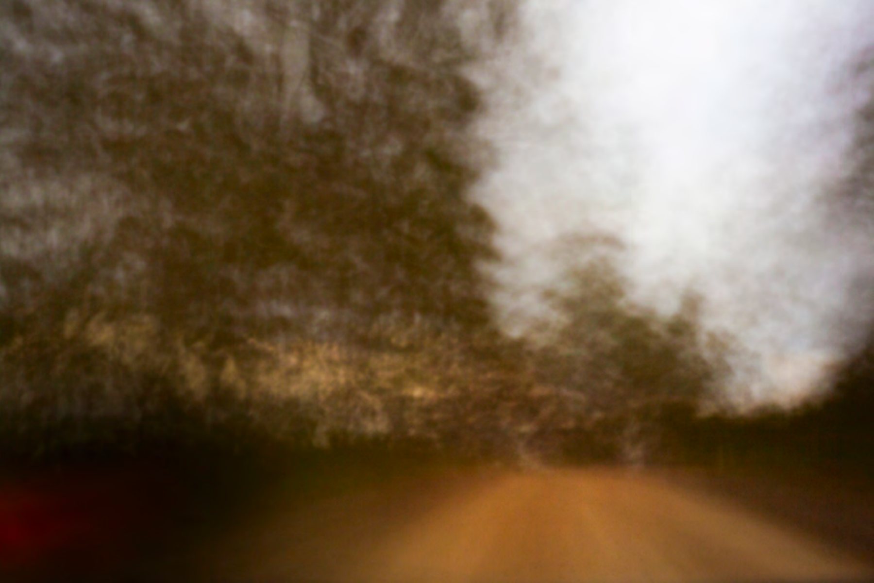 bruny #1, 2013, 52 × 77 cm, digital pinhole image on Arches Velin Museum Rag, edition of 5