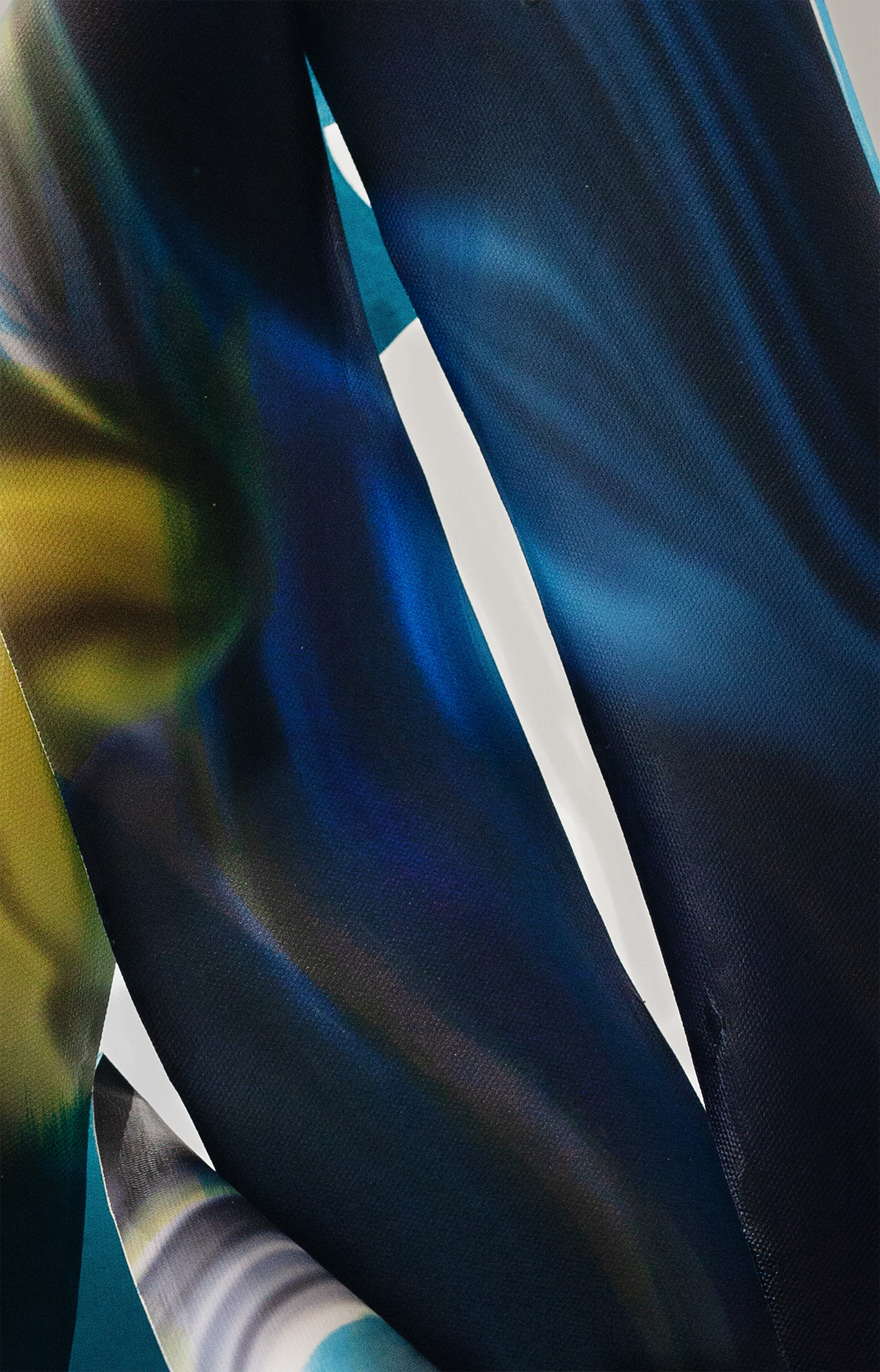 Installation view, Mimetics series