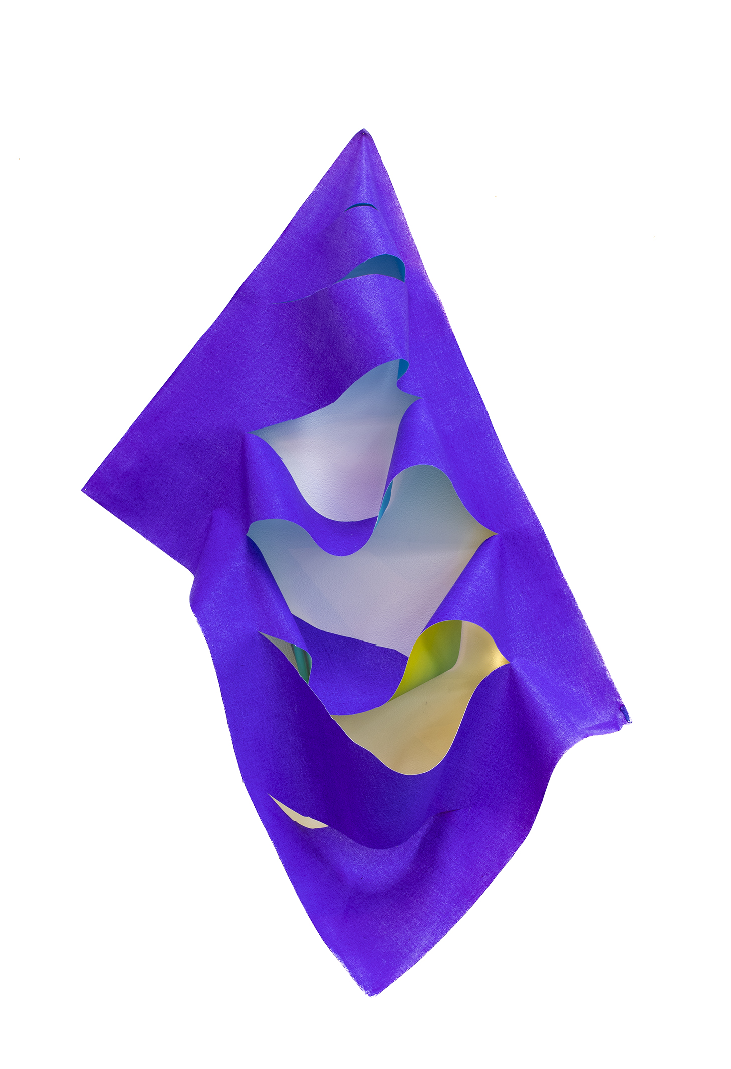 Photoshopping + ink, Dimensions variable, Inkjet print on daguerreotype canvas, ink