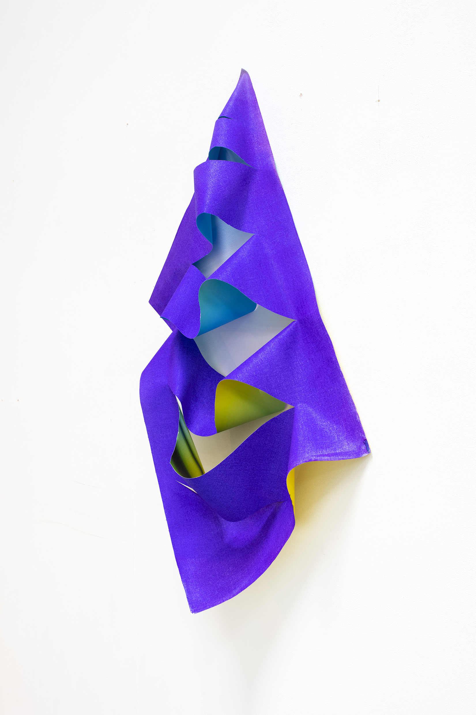 Limeslash, double sided inkjet print, ink, Dimensions variable on daguerreotype canvas