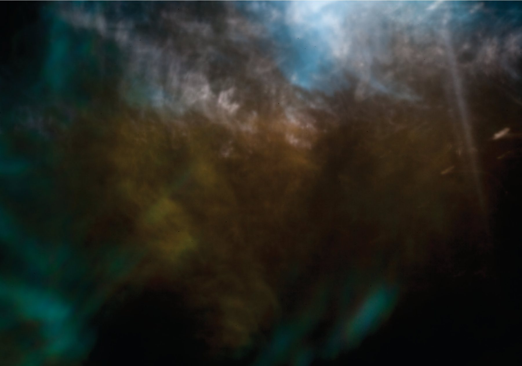 fly rhythm 2012 #1, 2012, digital pinhole camera print, dimensions variable