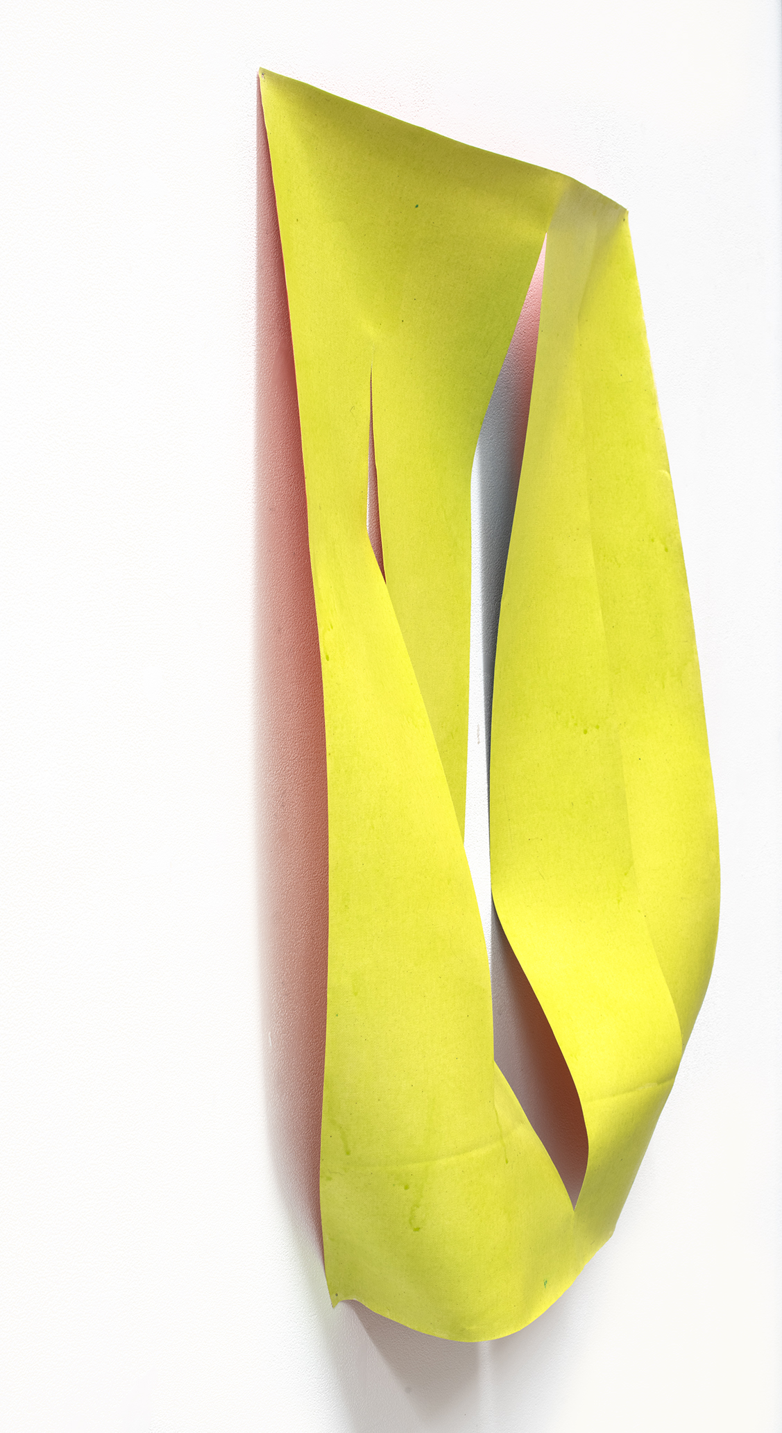 Installation view showing curved gallery wall with photo paintings